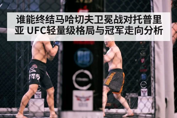 MMA fighters octagon