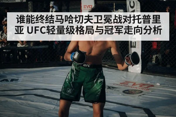UFC championship belt